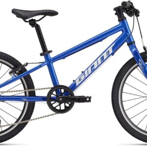 Giant ARX 20 2026 - Kids Bike